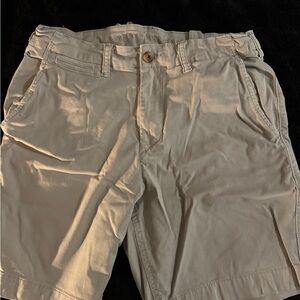 American Eagle Outfitters Men's Tan Flat Front Shorts